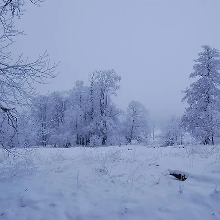 Palac Struga Oda ve Kahvaltı Lubawka