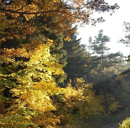 Palac Struga 3* Lubawka