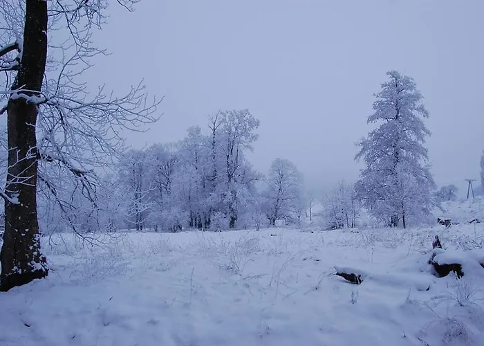Palac Struga Nocleg ze śniadaniem Lubawka